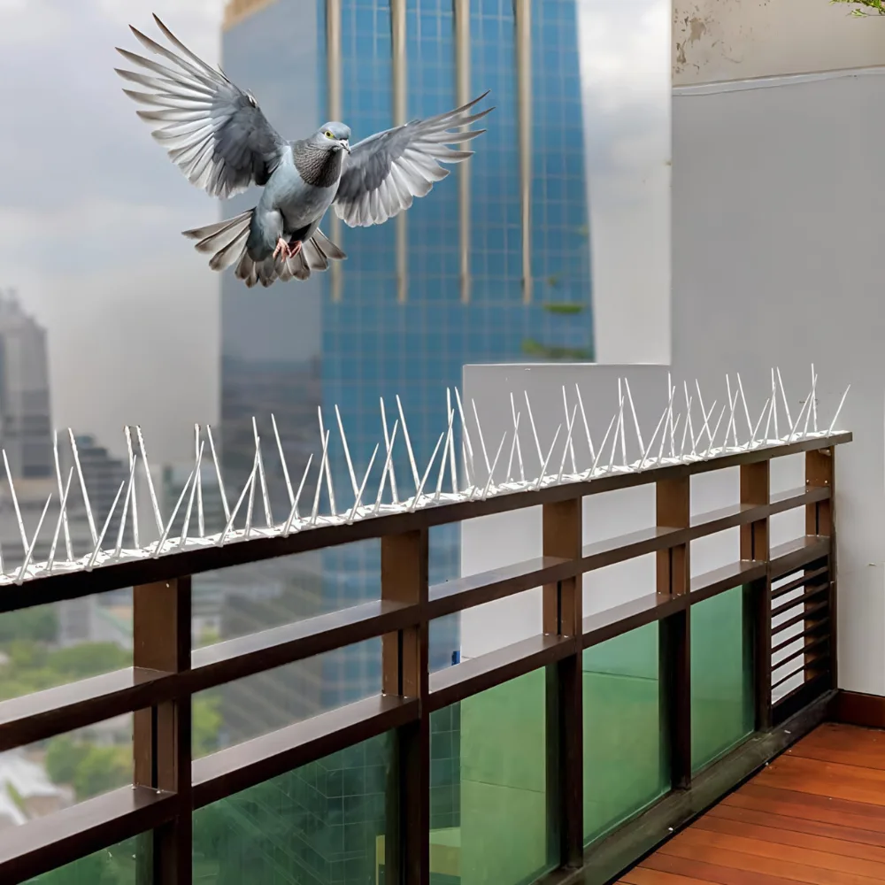 Bird Spikes