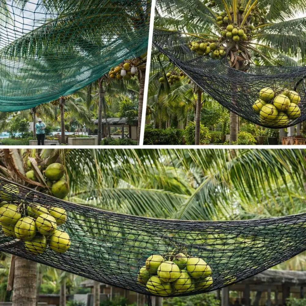 Coconut Safety Nets